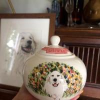 My pets urn is gorgeous! I am so thankful.