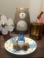 What a cute Totoro jewelry dish! It