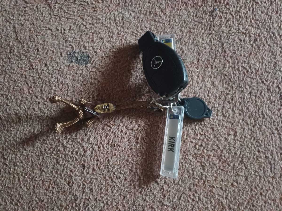 Purchased 2 buddy key rings