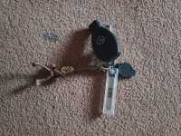 Purchased 2 buddy key rings