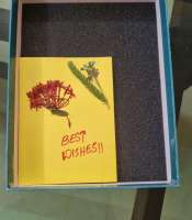 Flower Press Kit