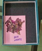 Flower Press Kit