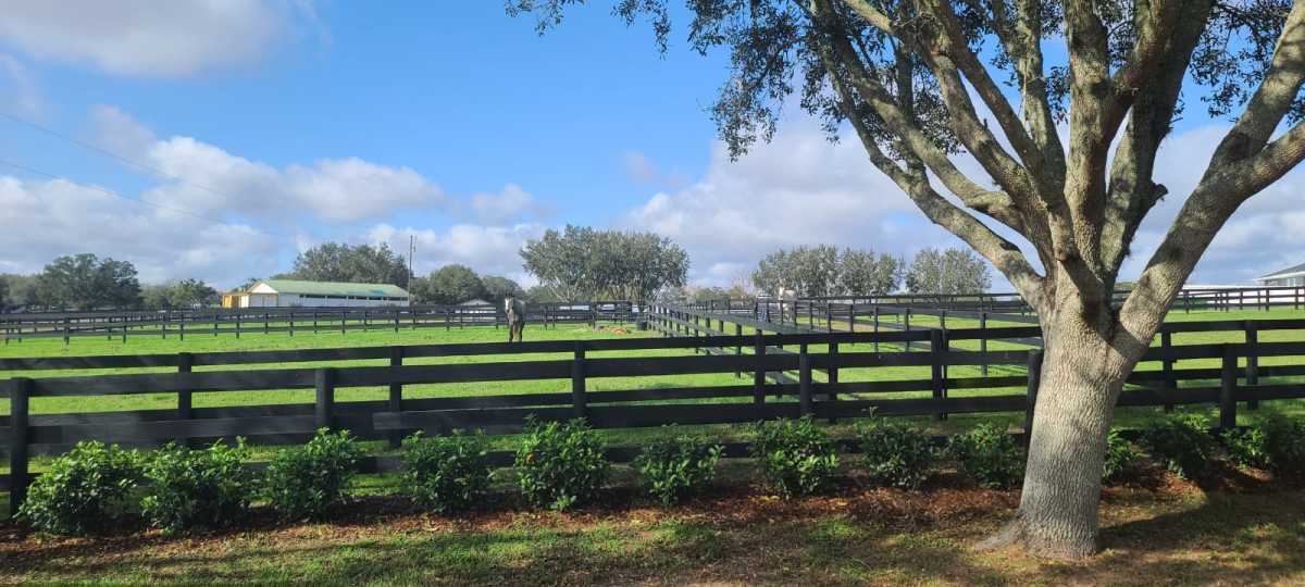 So beautiful an envious neighbor sent me photos!