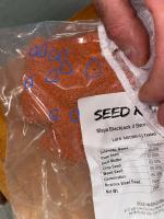Contaminated seed.