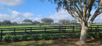 So beautiful an envious neighbor sent me photos!