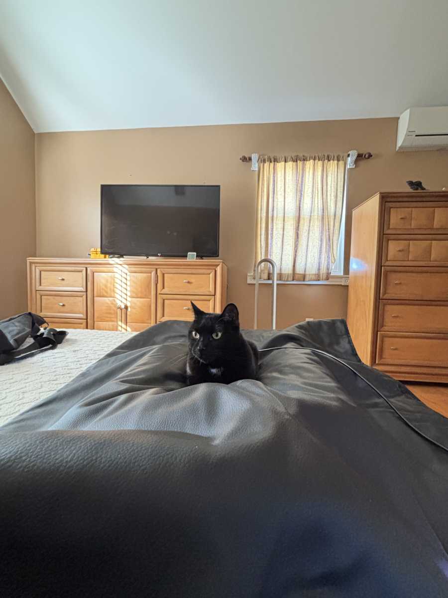 Cat approved also