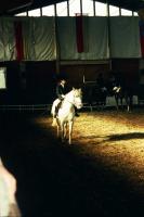 Super fast and super high quality