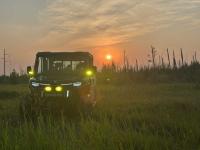 Amazing love them buying more